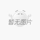 搶占市場高地：網(wǎng)站建設(shè)、小程序開發(fā)與手機(jī)APP開發(fā)制作并肩作戰(zhàn)，強(qiáng)化營銷，提升盈利
